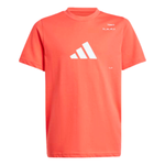 Adidas Y Cathegory Graphic Kids Tennis Tee - Selure
