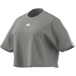 Adidas Future Icons 3 Stripes Tee - Medium Grey Heather (PLUS SIZE)