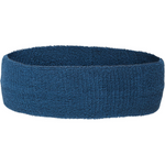 Asics Headband 2022 - Light Indigo