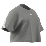 Adidas Future Icons 3 Stripes Tee - Medium Grey Heather (PLUS SIZE)
