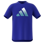 Adidas Sportwear Training Boys Tennis Shirt - LucBlu/White/Preblu